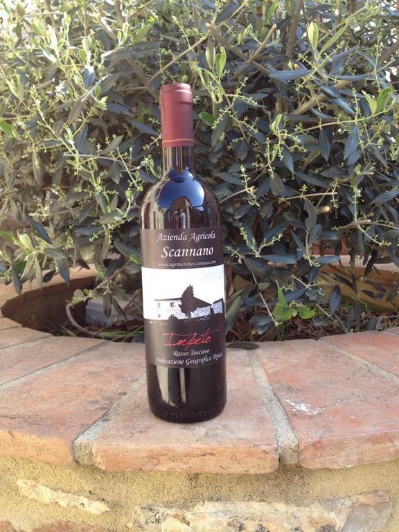 Agriturismo Scannano Serre di Rapolano Kültér fotó